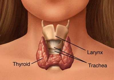 Journal ketosteroid